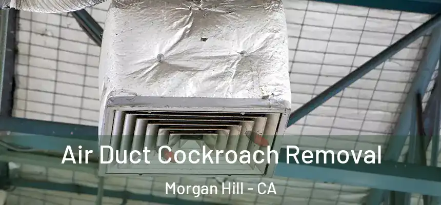 Air Duct Cockroach Removal Morgan Hill - CA