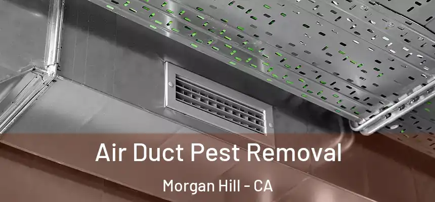 Air Duct Pest Removal Morgan Hill - CA