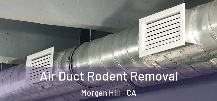  Air Duct Rodent Removal Morgan Hill - CA