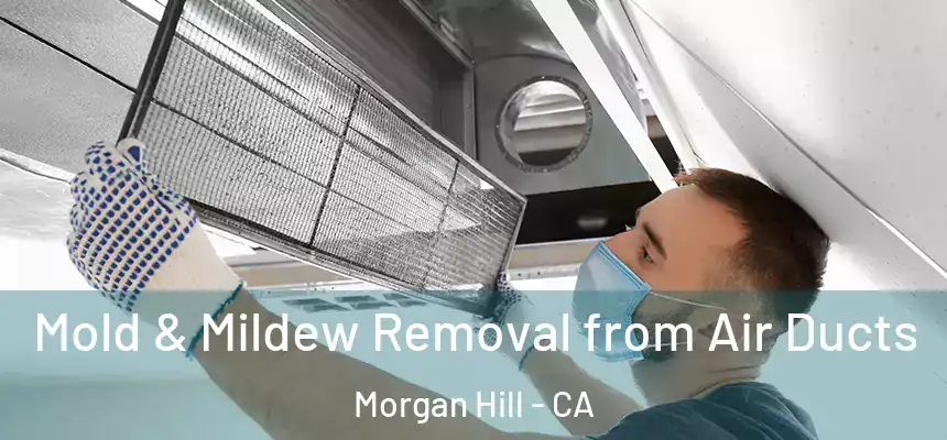 Mold & Mildew Removal from Air Ducts Morgan Hill - CA