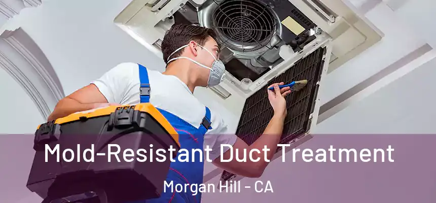  Mold-Resistant Duct Treatment Morgan Hill - CA