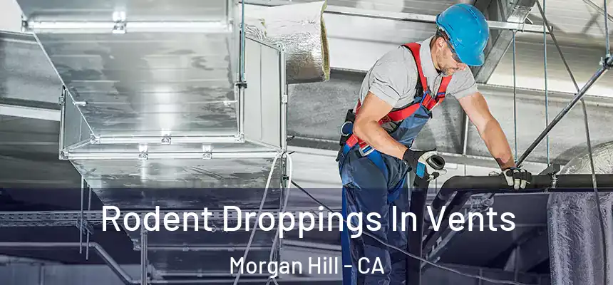  Rodent Droppings In Vents Morgan Hill - CA