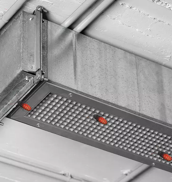 Affordable Insect Removal from Air Ducts in Morgan Hill, CA