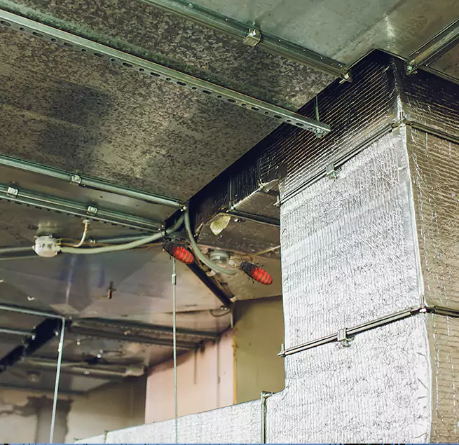 Why Homeowners & Businesses Trust Us in Morgan Hill, CA?