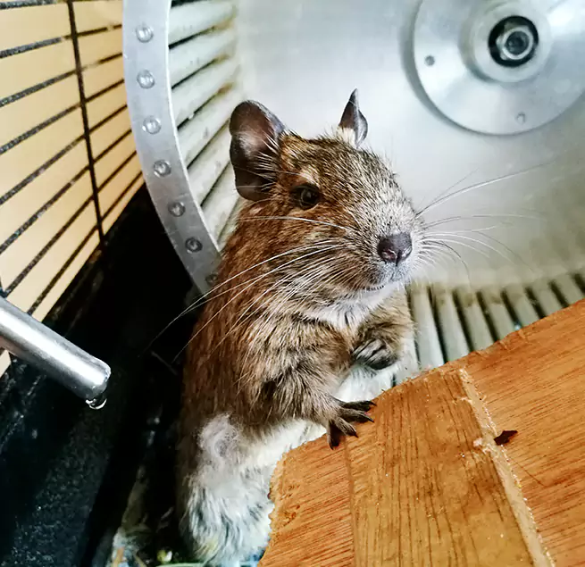 Why Homeowners & Businesses Trust Us Morgan Hill, CA?